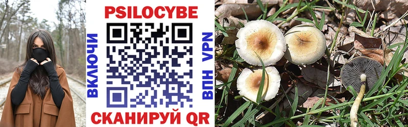 купить omg ТОР Псилоцибиновые грибы Psilocybine cubensis Долгопрудный