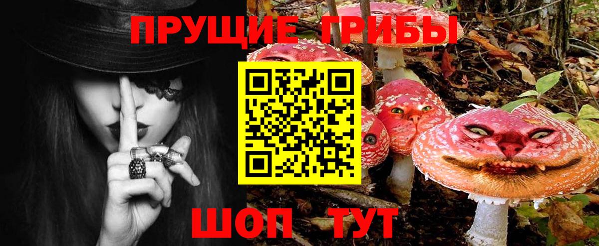 Долгопрудный  Галлюциногенные грибы прущие грибы  сколько стоит  Псилоцибиновые грибы мухоморы  Вход с VPN 