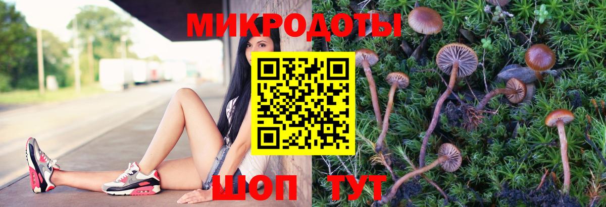 Галлюциногенные грибы ЛСД Долгопрудный